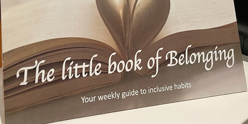 Little Book Of Belonging